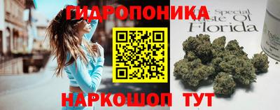дурь Аша