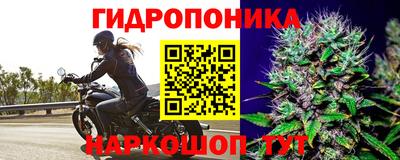 дурь Аша