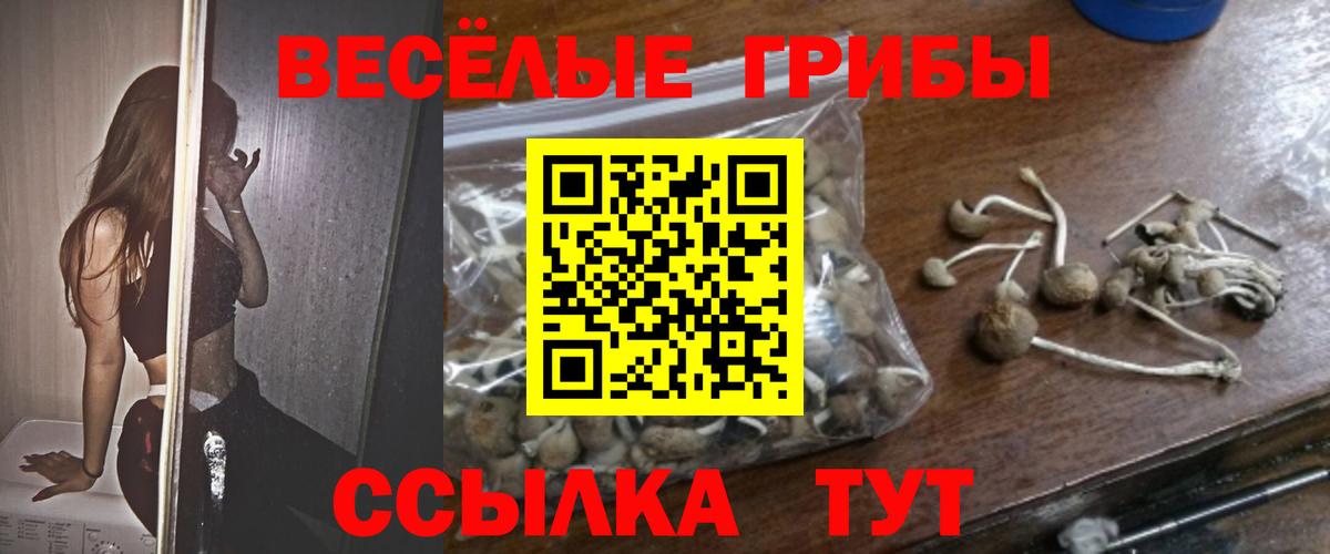 Дзержинск  Псилоцибиновые грибы Magic Shrooms  как найти закладки  Вход с VPN 