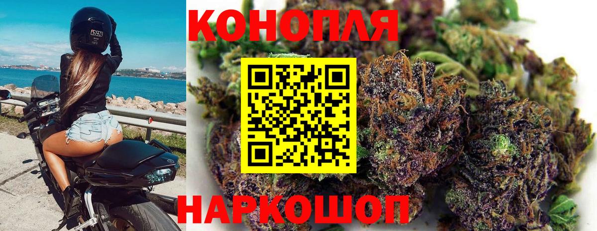 Каннабис ГИДРОПОН  Бошки Шишки White Widow  Дзержинск  Бошки марихуана конопля  Конопля сатива  Вход с VPN 